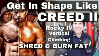 Creed 2 Boxing Training Workout [upl. by Drapehs853]