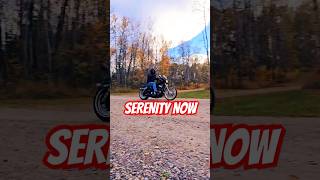 HARLEY SPORTSTER harleydavidson sound relaxing woods asmr automobile motorcycle biker HD [upl. by Aziza333]