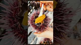 Have you ever eaten sea urchin or uni 🦪🤷🏽‍♂️ We try it in sushi 🍣 With beatriceissowonderful [upl. by Heida]