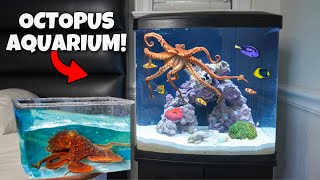 I Built my Dream OCTOPUS Aquarium [upl. by Kelci]