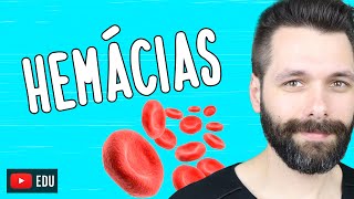 HEMÁCIAS  Globulos vermelhos ou Eritrócitos  Biologia com Samuel Cunha [upl. by Chem139]