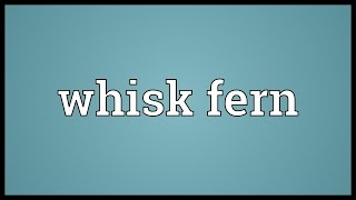 Whisk fern Meaning [upl. by Johnette297]