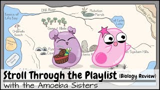 Stroll Through the Playlist a Biology Review [upl. by Mills51]