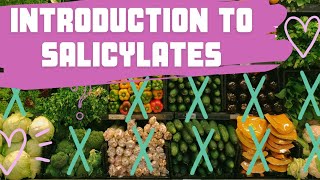 What are salicylates and why do people avoid them [upl. by Aicats]