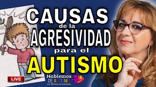 Causas comunes de la agresividad en los niños con autismo [upl. by Ainecey]