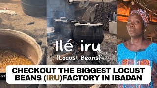 Check the Biggest Locust Beans Iru Factory and how its produced in Ibadan by Iya Ahmed trending [upl. by Jacobba513]