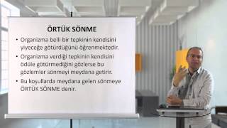 EĞİTİM PSİKOLOJİSİ 07 HAFTA VİDEO 2 BÖLÜM [upl. by Anomas]