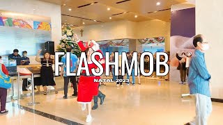 Flashmob Natal 2023 RS St Carolus [upl. by Ailad]