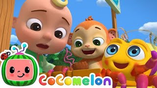 Itsy Bitsy Spider  CoComelon Nursery Rhymes amp Animal Songs CoComelon ChuChuTV kids cartoon [upl. by Ennaecarg408]