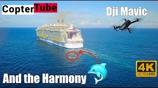 Dji Mavic 🚁 Long Range Cruise 🛳 chase Long Range [upl. by Esnohpla]