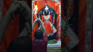 राजाधिराज द्वारकाधीश जी के मङ्गला आरती दर्शन 🙏🏻 manglaaarti shreedwarkadhishjagadmandirdwarka [upl. by Allemahs]