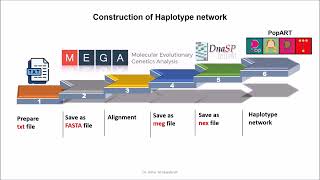 How to construct Haplotype Network by PopArt SARSCoV2 as an example [upl. by Perusse]