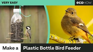 How to make a Bird Feeder from a Plastic Bottle [upl. by Gratianna]