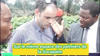 Socapalm les riverains en colère [upl. by Lemieux]