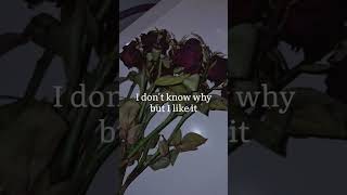 Yah i love dead flowers 💓Taesthetic btsarmy64982 viralshorts trendingshorts subscribrelike [upl. by Chrisse]