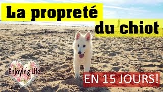 APPRENDRE LA PROPRETÉ A SON CHIOT  EN 15 JOURS  Mon histoire ✿ Enjoying Life [upl. by Enamrahc]