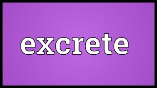 Excrete Meaning [upl. by Claudian]