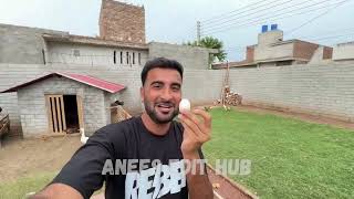 Hiran K Gly Main Darwaza Phans Gea😨Ab Kia Hoga Shehr Main Dihat Mini Vlog shehrmaindihat [upl. by Arun]