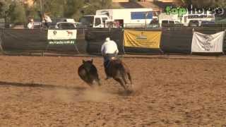 ASH National Show 2013  Open Campdraft [upl. by Coplin]