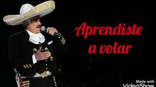 Aprendiste a volar letra Rich  Vicente Fernández [upl. by Nixon221]