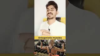 Antagonistic muscles in Hindi and Function anatomy quiz [upl. by Enialahs]