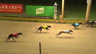 Rockhampton06112024Race2 [upl. by Ppik]