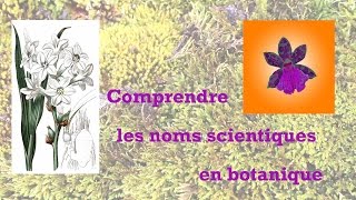 comprendre les noms scientifiques botaniques [upl. by Nehtanoj]