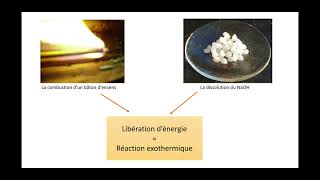 EB7 Réactions endothermique et exothermique [upl. by Idelson983]