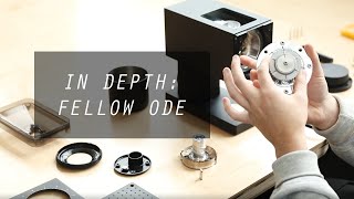 In Depth Fellow Ode [upl. by Gruber]