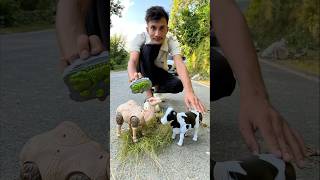 Rc Remote Control Camel 🐪 With Cow ki unboxing 🔥 [upl. by Warchaw]