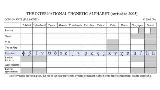 The IPA Consonants Language Development 20 [upl. by Rumpf]