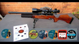 The BSA R10 Mk2  Best pellet selection Part One [upl. by Namruht]