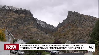 Investigators ask for help identifying human remains found near Springville [upl. by Christabella]