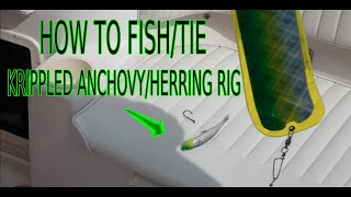 How To Rig amp Fish With AnchovyHerring Helmets for Salmon ft Jason Tonelli Guide level info 2021 [upl. by Reinhardt]