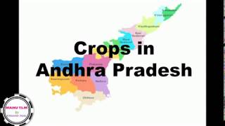 Crops in AP [upl. by Alver]