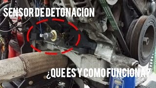 ¿Qué es el sensor de detonación y como función [upl. by Urson751]