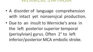 Brocas Aphasia and Wernickes Aphasia USMLE high yield concepts [upl. by Ihp]