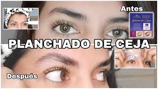 Como hacer un planchado de cejas paso a paso J Denis 🏠✨  planchadodecejas laminado cejas [upl. by Akired]