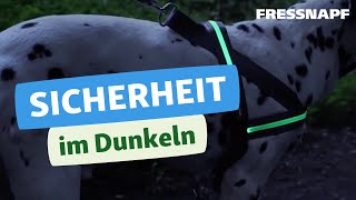 Top 4 Tipps Sicherheit im Dunkeln  Hund  FRESSNAPF [upl. by Derrick]