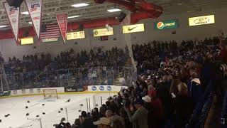 Detroit Catholic Central celebrates hockey state title [upl. by Alidus630]