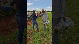 Assista até o final vidanaroça sitiodozero sitio agro fazenda nature roca cavalo sitio [upl. by Kandy]