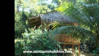 Ayahuasca Retreat Center Santuario Huishtin  Pucallpa [upl. by Fitzsimmons]