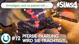 BabyPferde machen 🐴😳 Die Sims 4 Pferderanch Lets Play mit Jonas Klee und Pommes [upl. by Acitel]