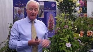 Raymond Evison Clematis pruning MP4 [upl. by Rad]