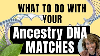 What to do with Your Ancestry DNA Matches [upl. by Maryn317]