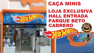 CAÇA HOT WHEELS  LOJA EXCLUSIVA HOT WHEELS NO HALL DE ENTRADA DO PARQUE BETO CARRERO [upl. by Yatnod914]