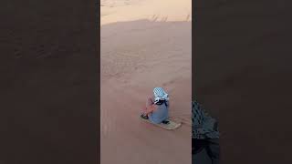 Arabian excursion tourism Dubai desert safari [upl. by Atinuj]