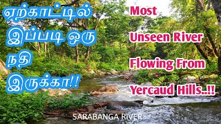 Yercaud Hills│Danishpet River│Natural Organic Water│மலைகளின் வழியாக தவழும் கனிம நதி [upl. by Xuaeb18]