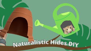 Naturalistic Hides Cage Decor for Pet rats DIY [upl. by Darill]