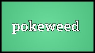 Pokeweed Meaning [upl. by Anahsit]